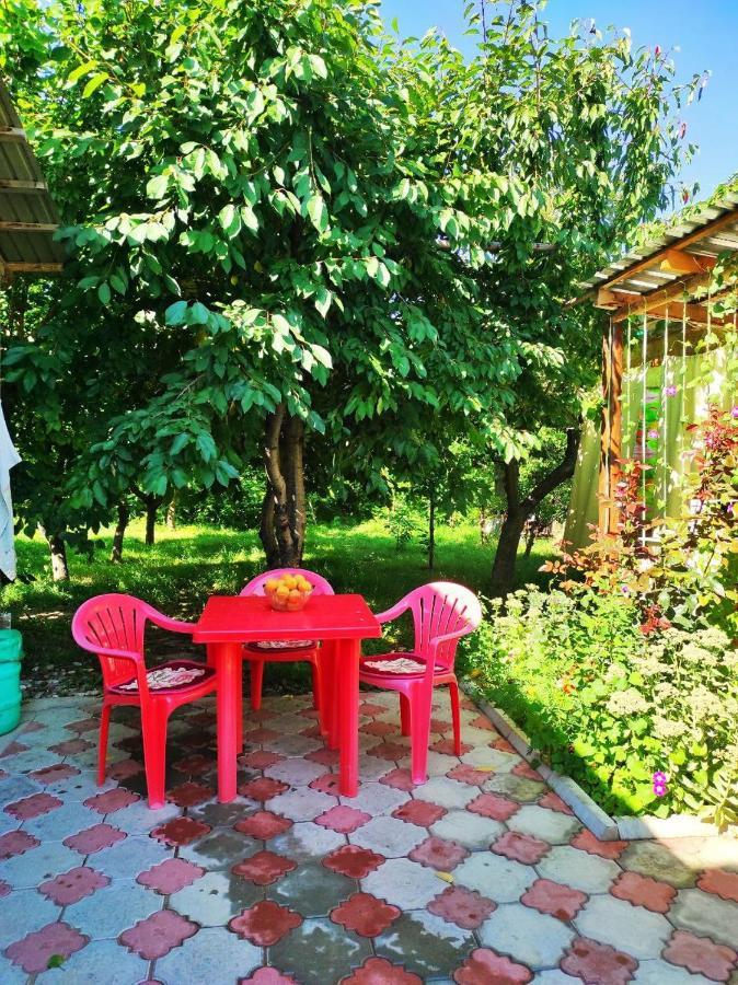 Guest House Dinara Kaji-Say المظهر الخارجي الصورة